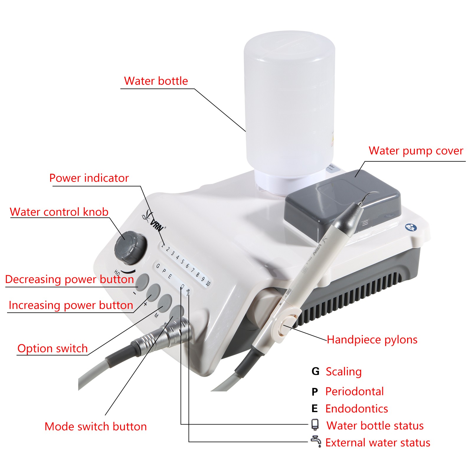 LED Dental Ultrasonic Piezo Scaler Scaling Perio Endo USA STOCK Bottle