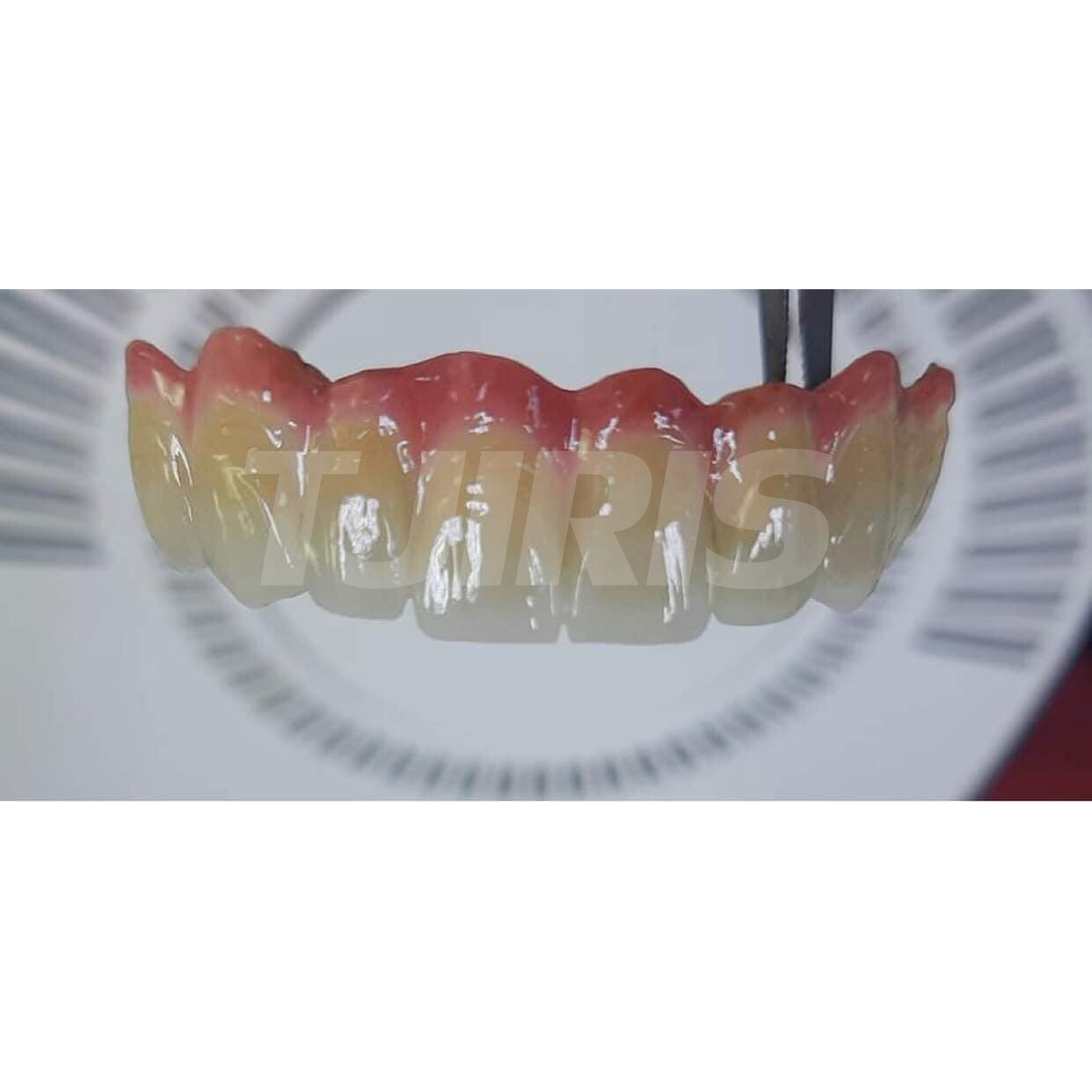 BAOT Dental Lab Incisal Enamel Ceramics Porcelain Powder for Metal 50g