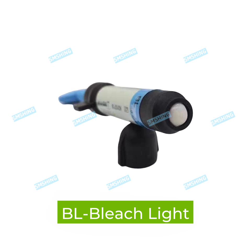 Dental KULZER CHARISMA BL Bleach White Light Cure Composite Resin Opal