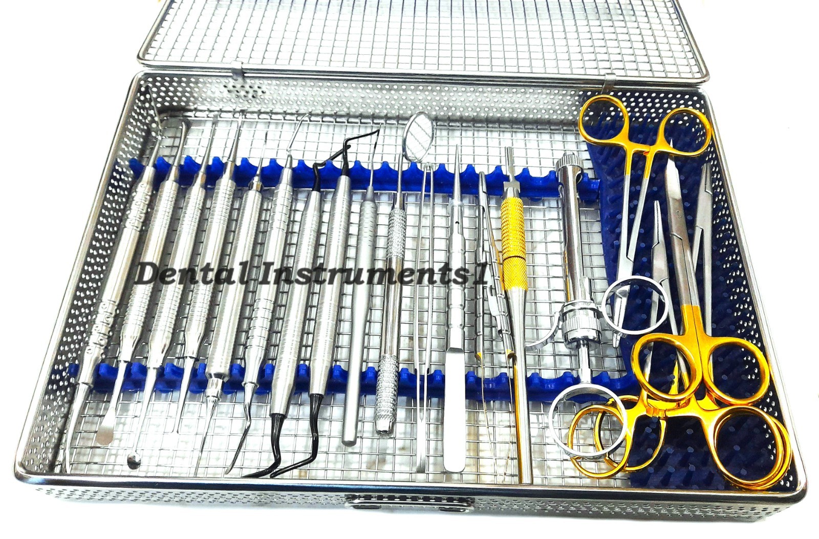 Dental Periodontal Instruments Kit Surgery 20 pcs Set with Mesh Tray