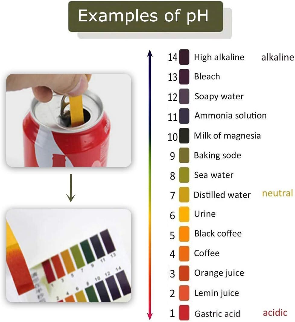 800X pH Indicator Test Strips 1-14 Laboratory Paper Litmus Tester Urine Saliva
