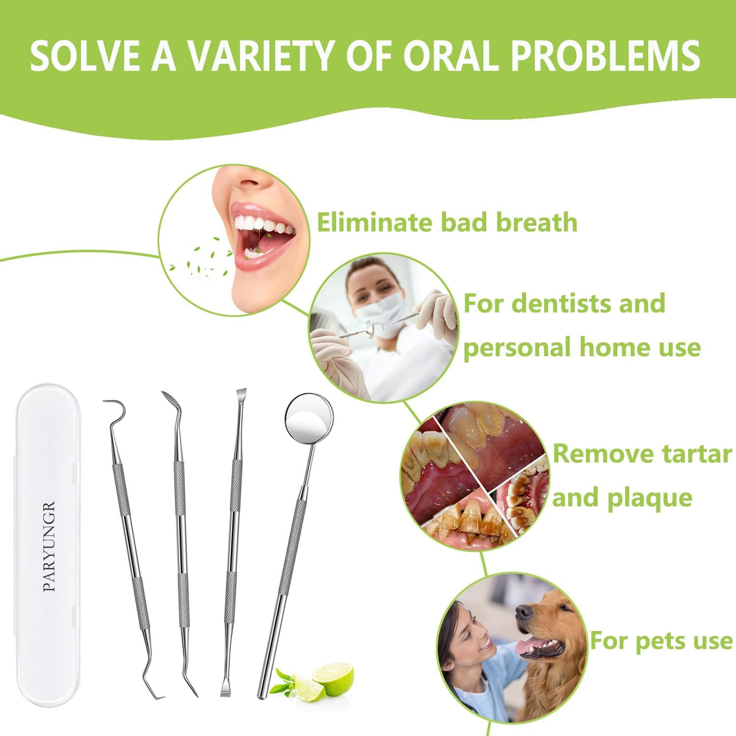 Dental Tools, Professional Teeth Cleaning Oral Care Hygiene Kit, Stainless Steel