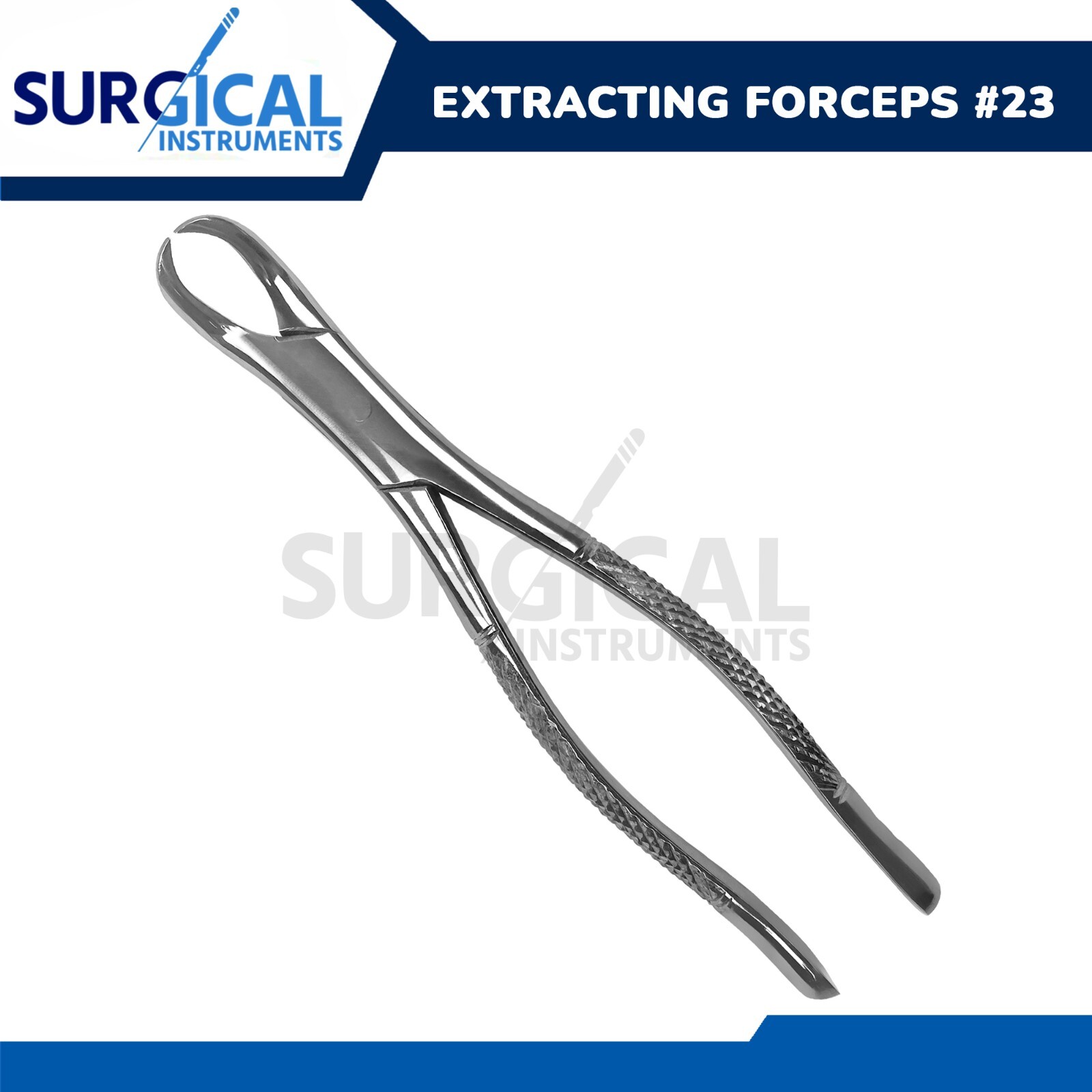 Dental Tooth Extracting Forceps #23 Cow Horn Lower Molar Stainless German Grade