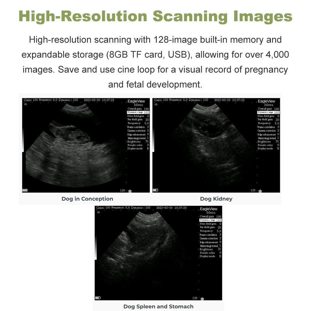 Veterinary Ultrasound Machine – Pregnancy Detection In Dogs, Pigs, Goats, Sheep