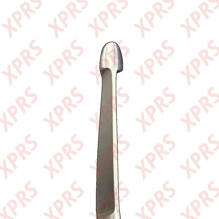 Lister Bandage Scissors, 5.5″, Extra Fine Blades