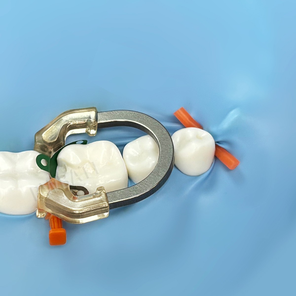 Dental Matrix Bands Ring Sectional Matrice Clamp Clear Anterior Matrix System