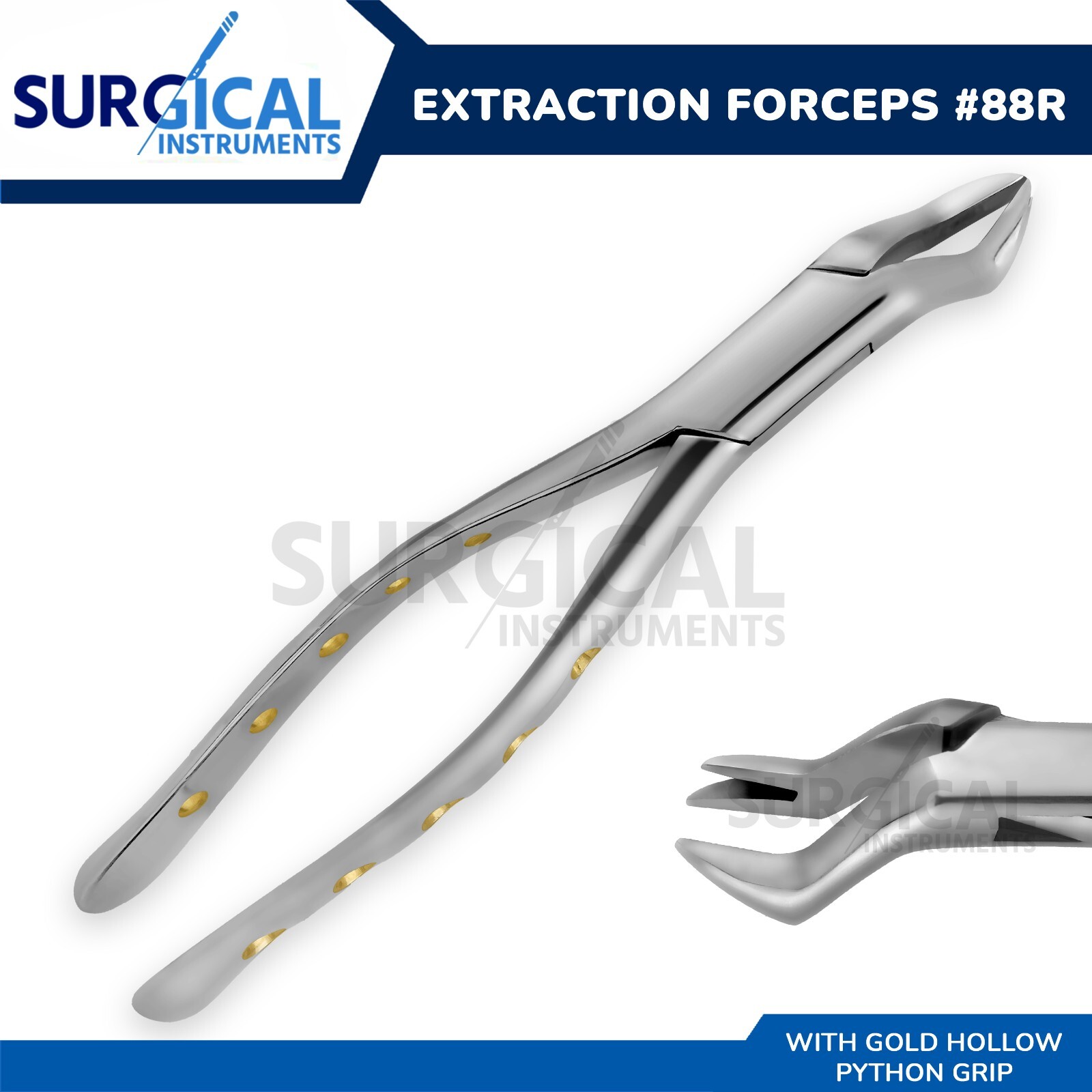 Heavy Duty Stainless Extraction Forceps #88R – Gold Hollow Python Grip German Gr
