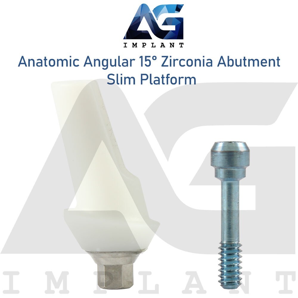 Zirconia Angular Anatomic Prosthetic Slim 15° Titanium Base Hexagon 2.0mm