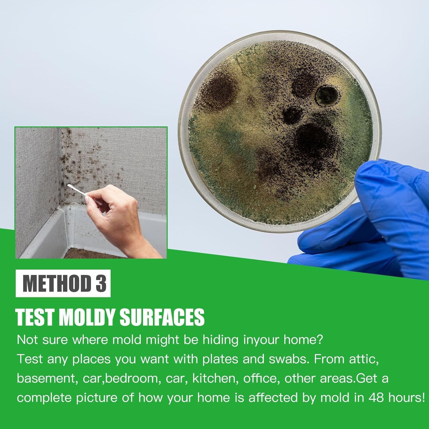 Mold Test Kit for Home Within 8 Individual Tests,DIY Detector at…