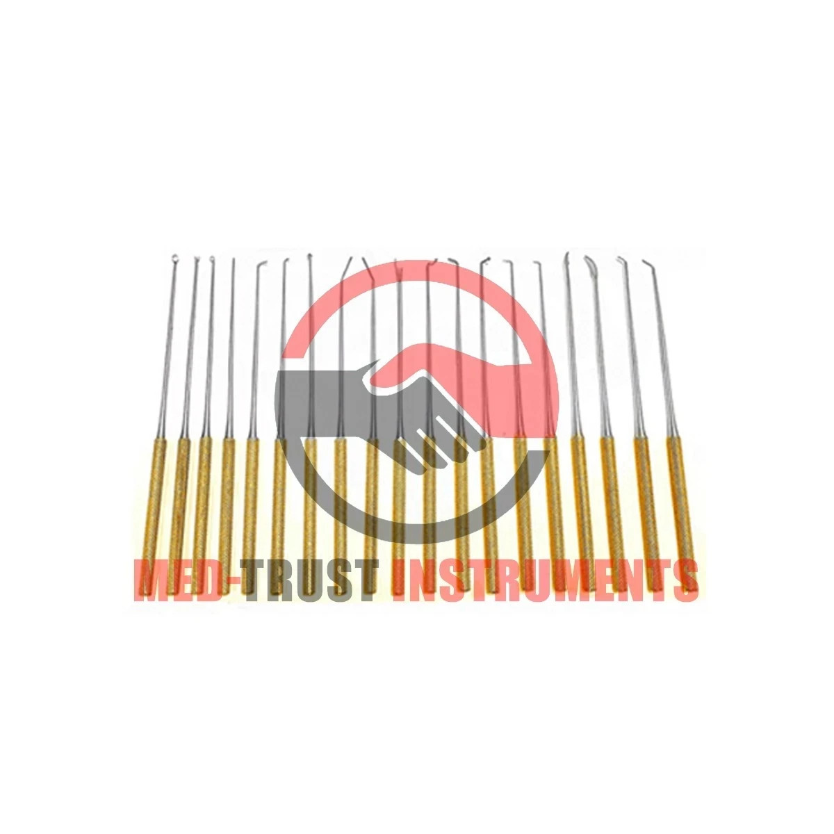 Rhoton micro dissector expanded 20 pcs set Gold with Sterilization Case