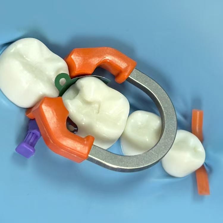 Dental Matrix Bands Ring Sectional Matrice Clamp Fit Garrison Palodent V3 System