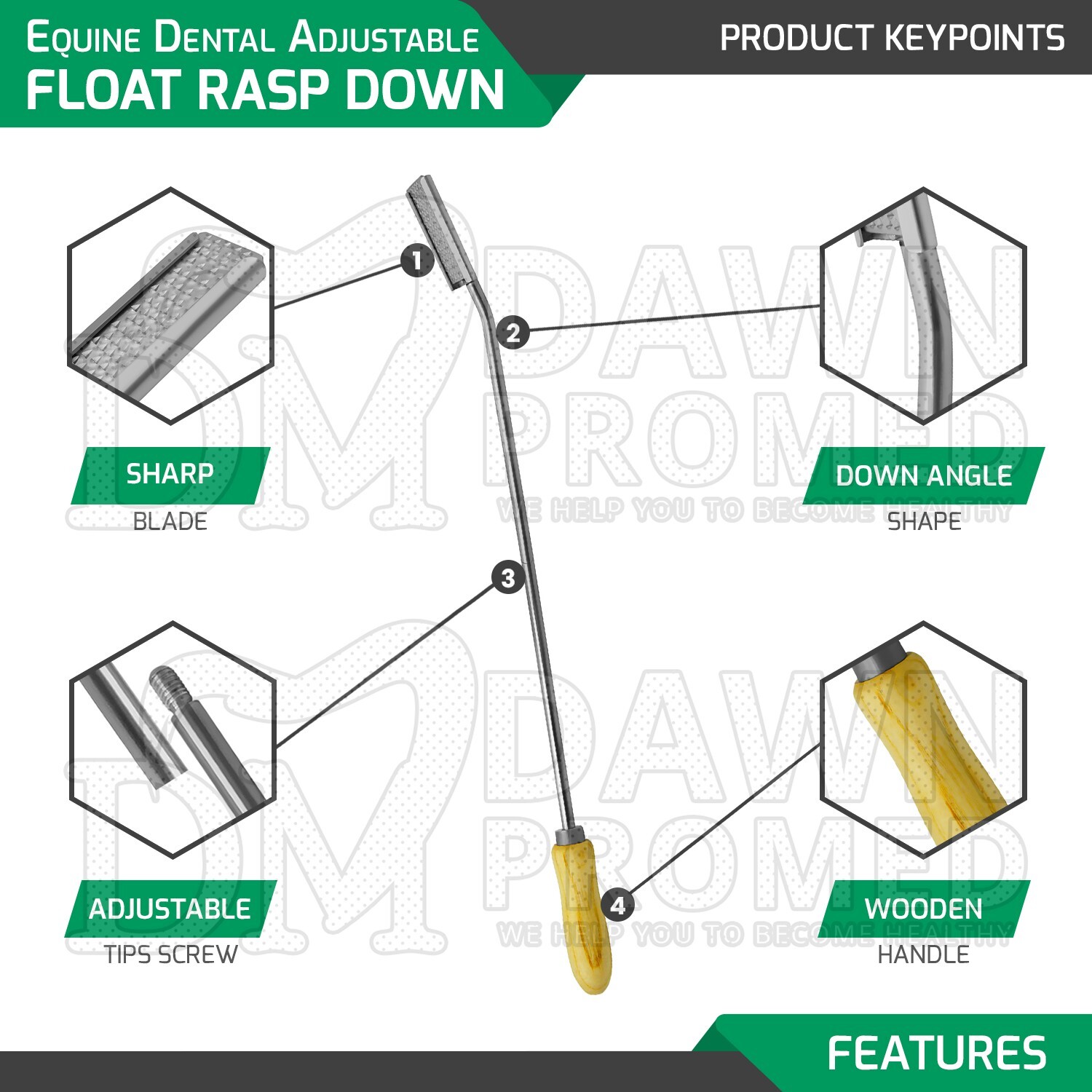 Equine Dental Adjustable Float Rasp Down Angle Horse Veterinary Instruments
