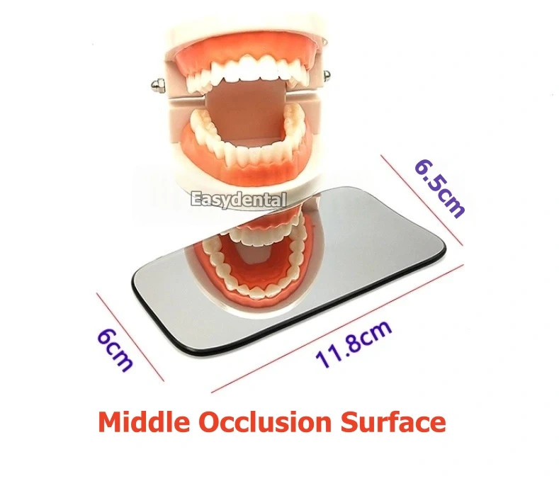 Dental Ortho Glass Photo Mirrors Intraoral Photographic Middle Occlusion Surface