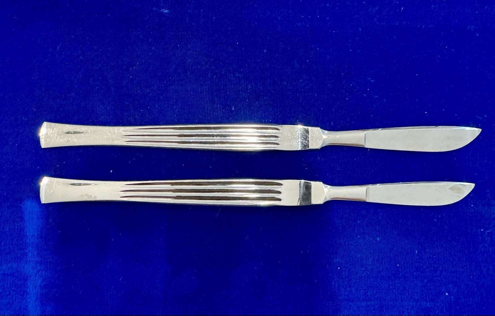 Vintage Surgical Knife Pair Two Sizes in Waterman’s Presentation Case Unmarked