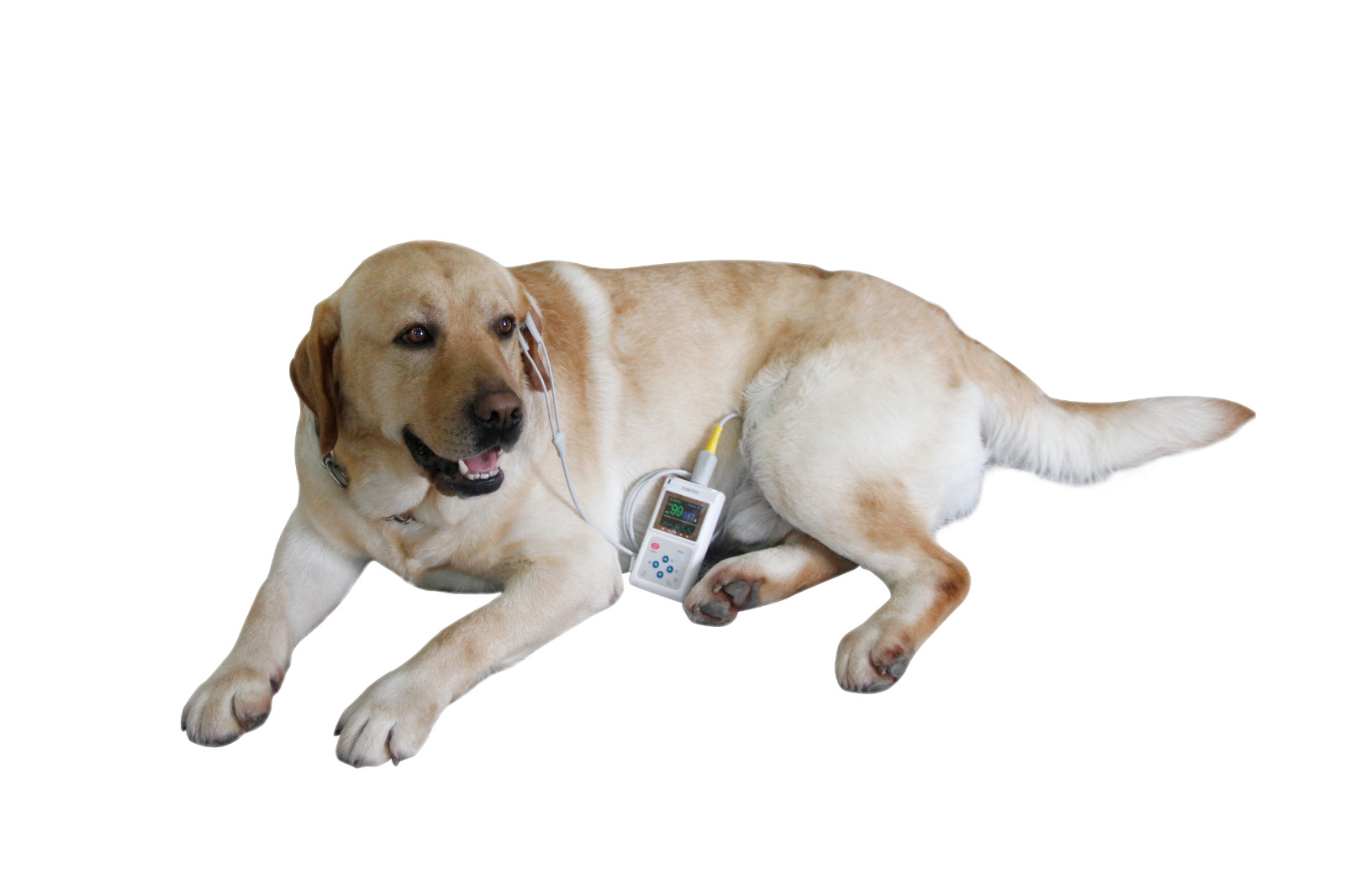 Veterinary Pulse Oximter 24 Hours SPO2 monitor Blood Oxygen Rate VET+Software