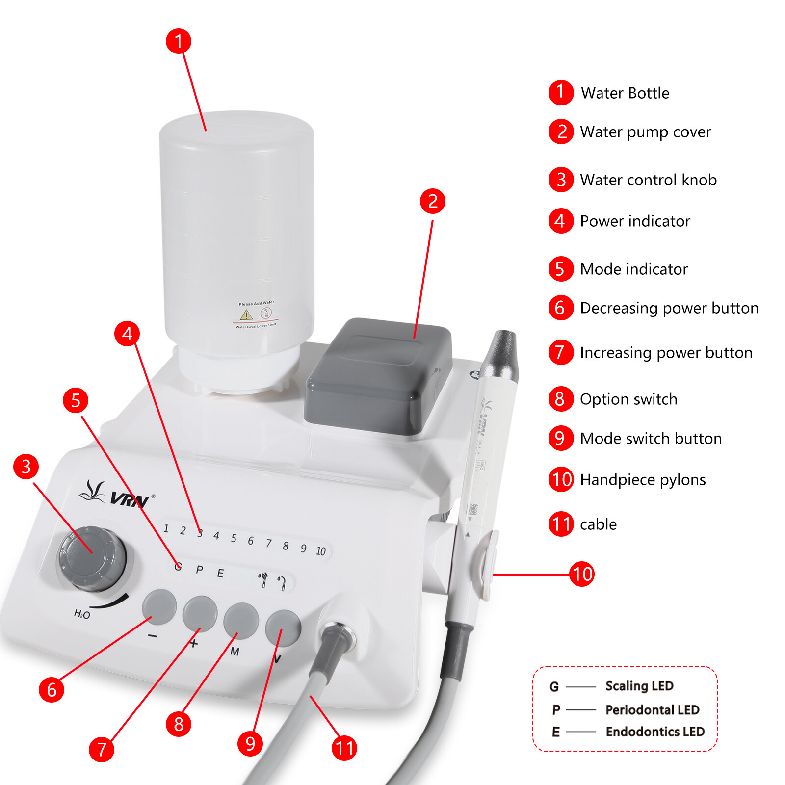 Veterinary Dental Scaler Machine With LED Handpiece Ultrasound Scaler. 5 Tips
