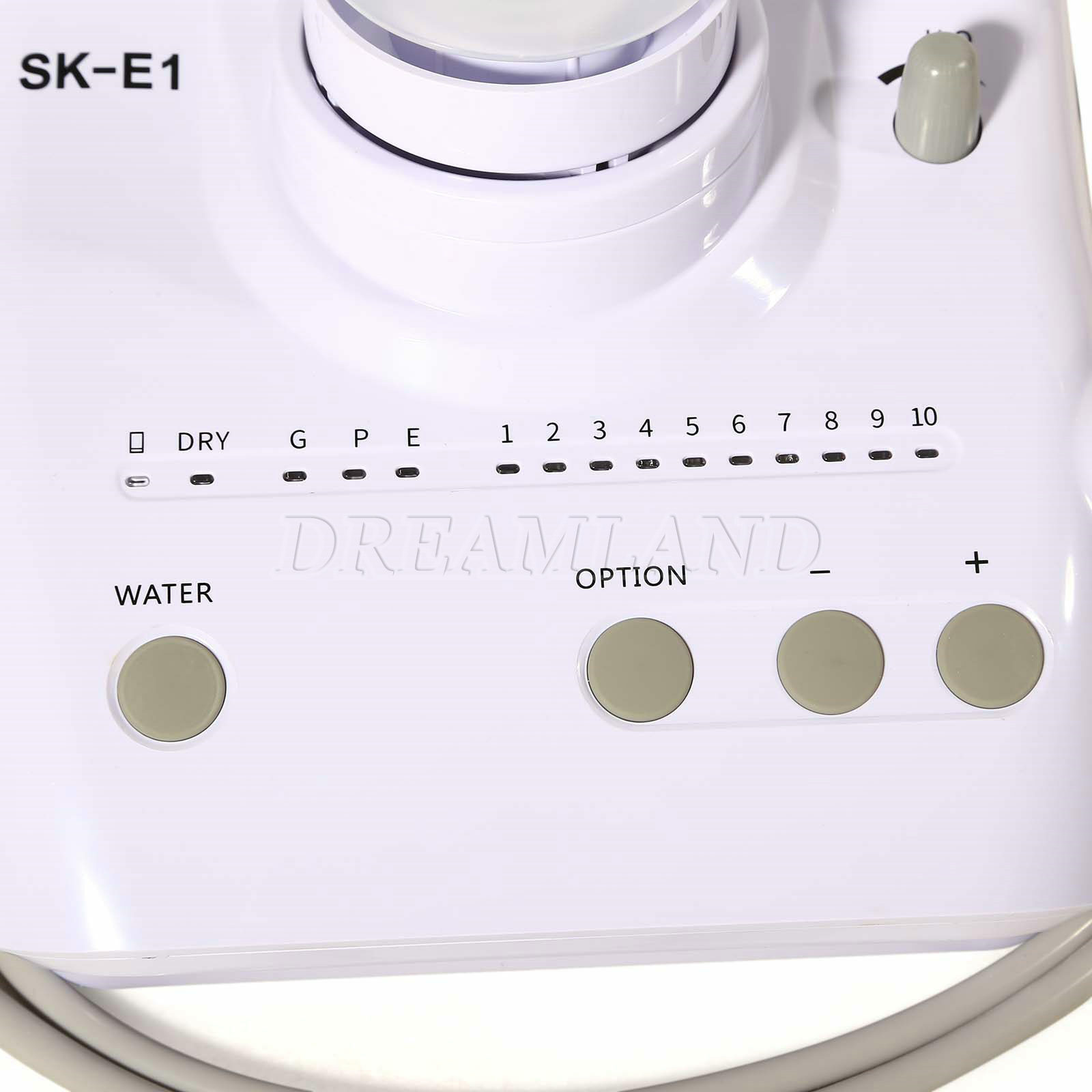 FDA SK-E1 Dental Ultrasonic Scaler 2*Bottles fit Woodpecker EMS / Handpiece icv