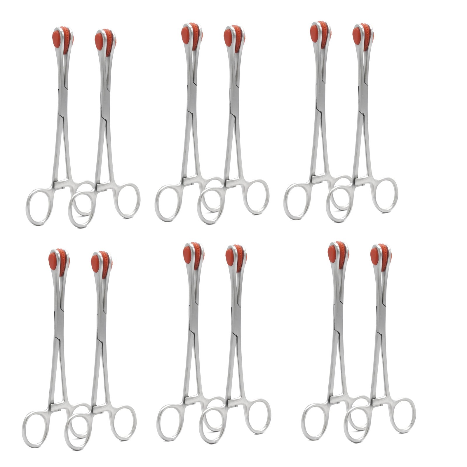 12 Pcs Young Tongue Seizing Forceps 7″ Oral Dental Surgical Medical Instruments