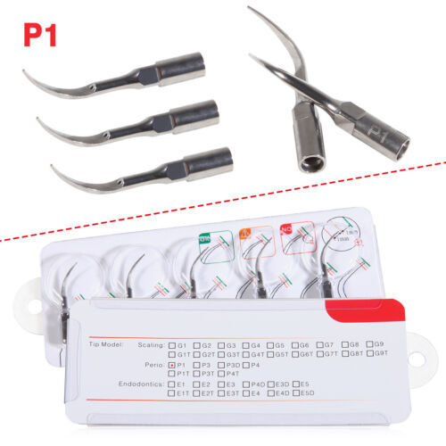 Dental Ultrasonic Scaler Tips Scaling Perio P1 Fit EMS Woodpecker Handpiece