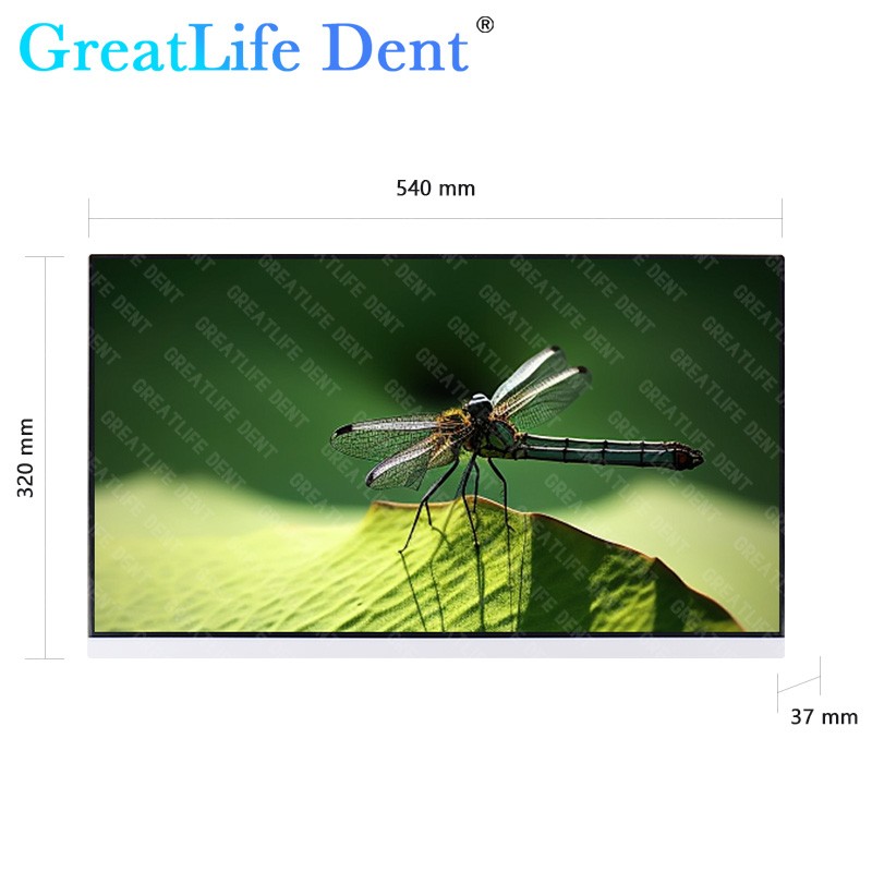 US Stock Dental 24Inch High-Definition Digital SONY CCD Monitor Intraoral Camera