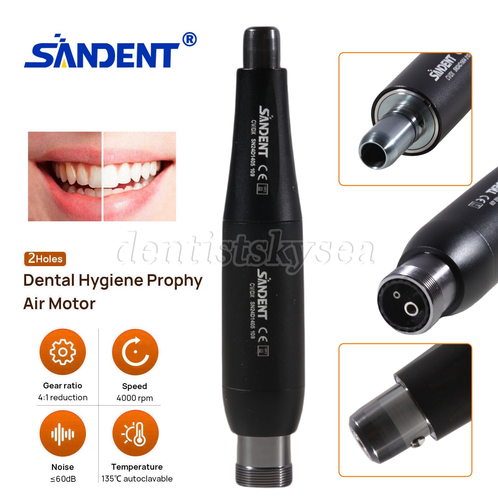 Dental Hygiene Prophy Handpiece 360° Straight Nose Cone 4:1 Air Motor 2Hole B2