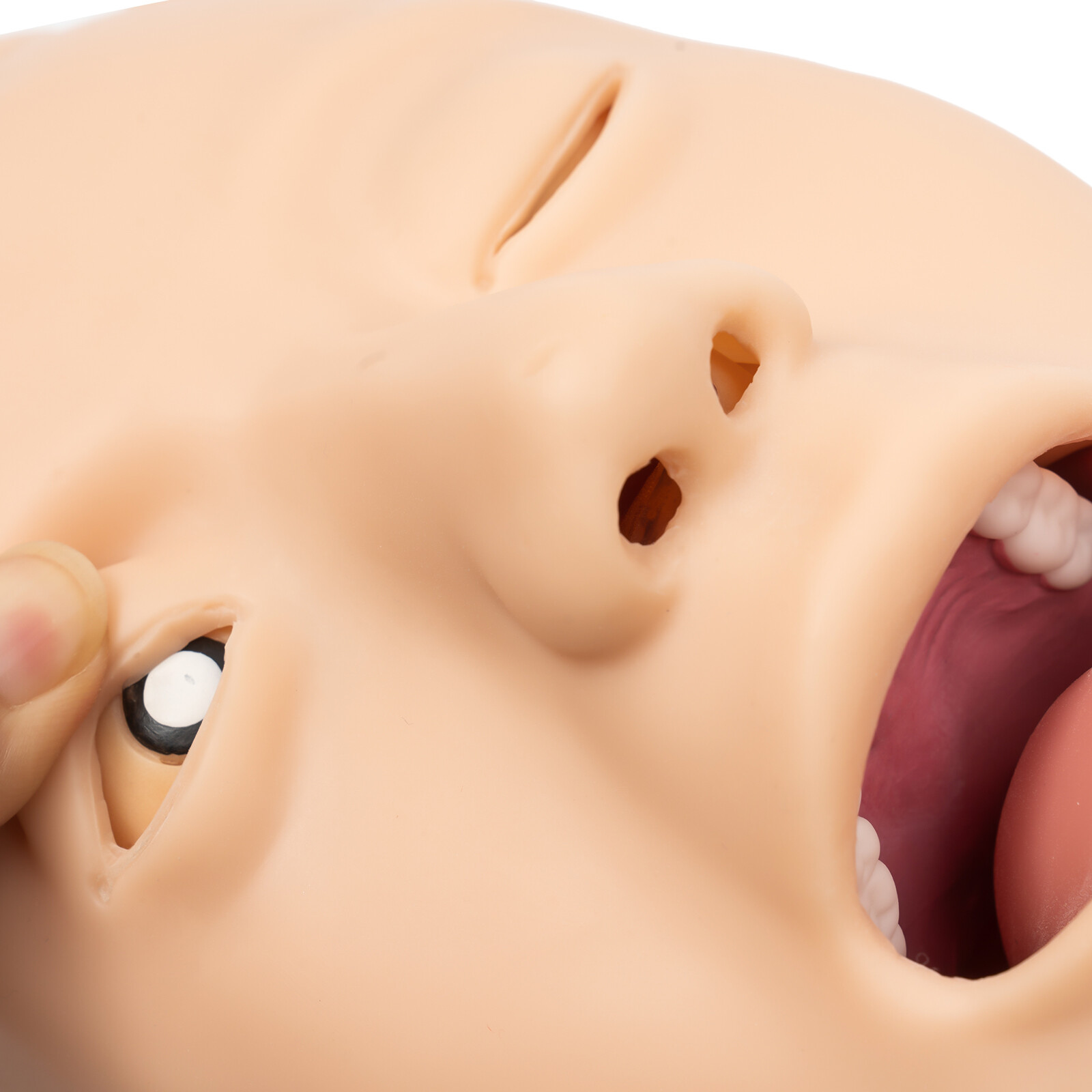 Intubation Manikin Teaching Model Intubation Training Model Education Training