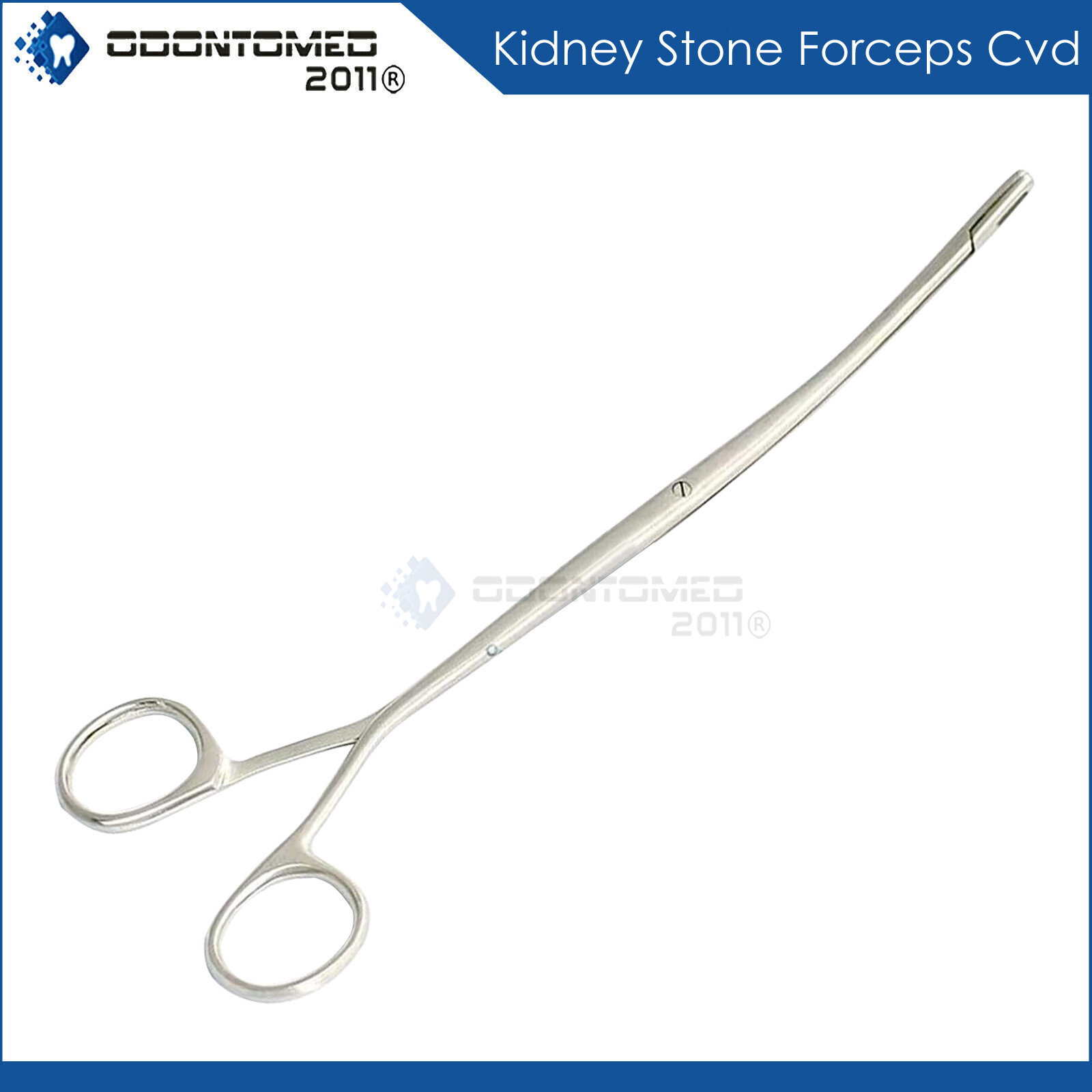 Randall Kidney Stone Forceps Quarter Curved Surgical & Veter​inary Instruments