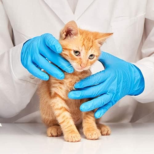 Basic Medical Blue Nitrile Exam Gloves – Latex-Free Powder-Free – NGPF 7002