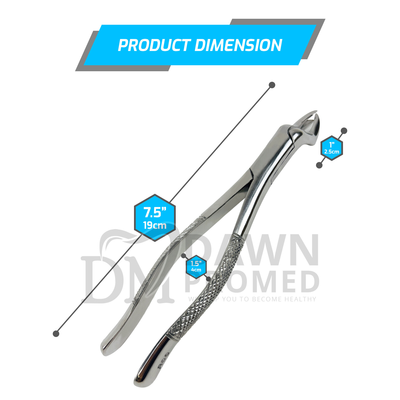 Dental Extracting Forceps #88R For Right 1st And 2nd Upper Molar German Grade