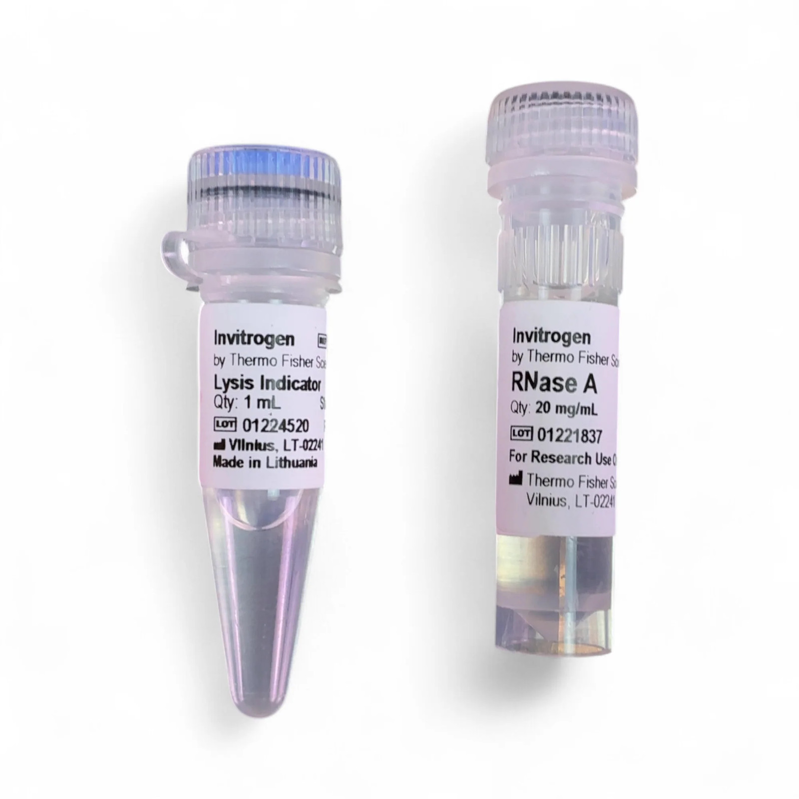 Invitrogen PureLink Expi Endotoxin-Free Maxi Plasmid Purification Kit A31231 …