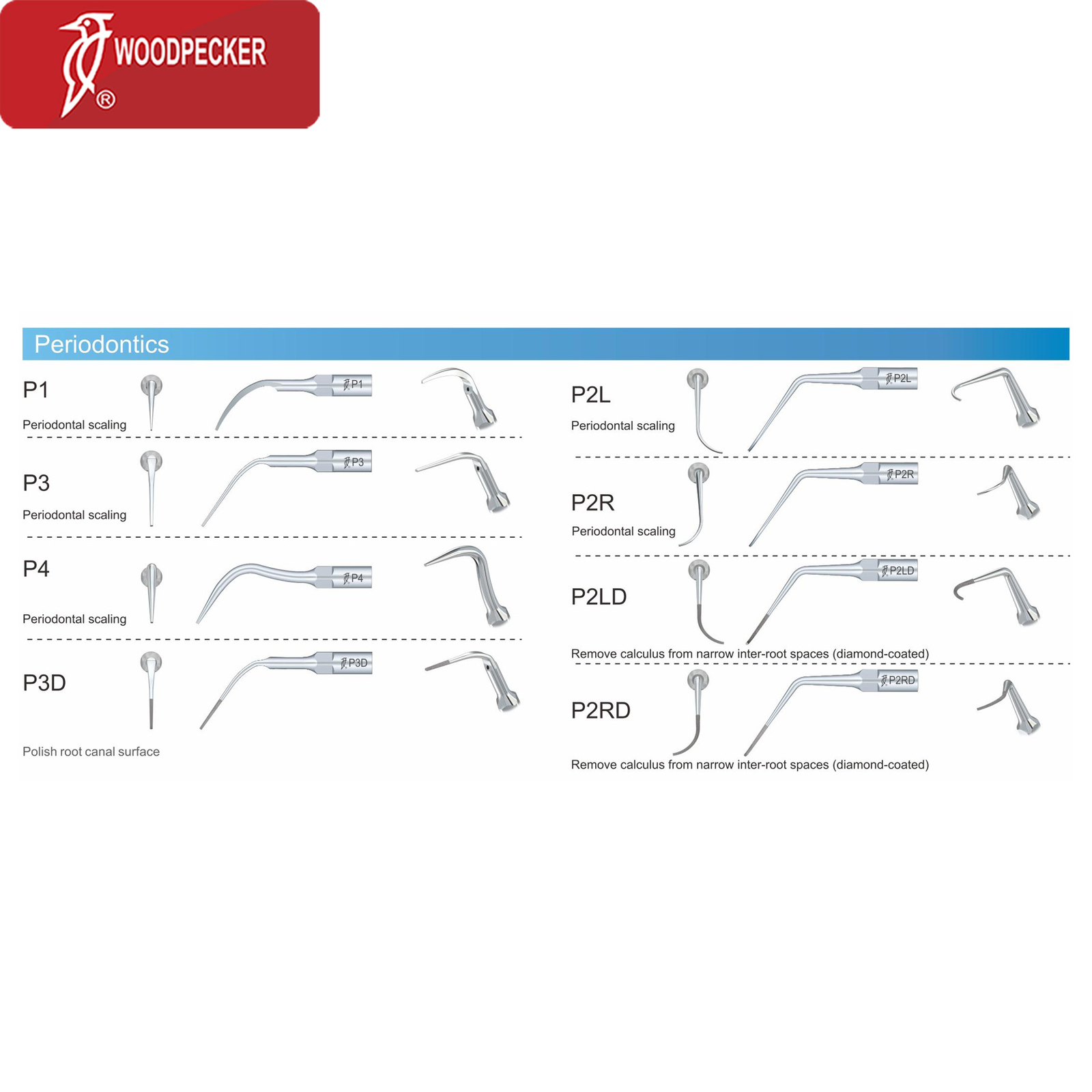 Woodpecker Dental Ultrasonic Scaler Tips Endo Perio Root Canal Fit EMS Handpiece