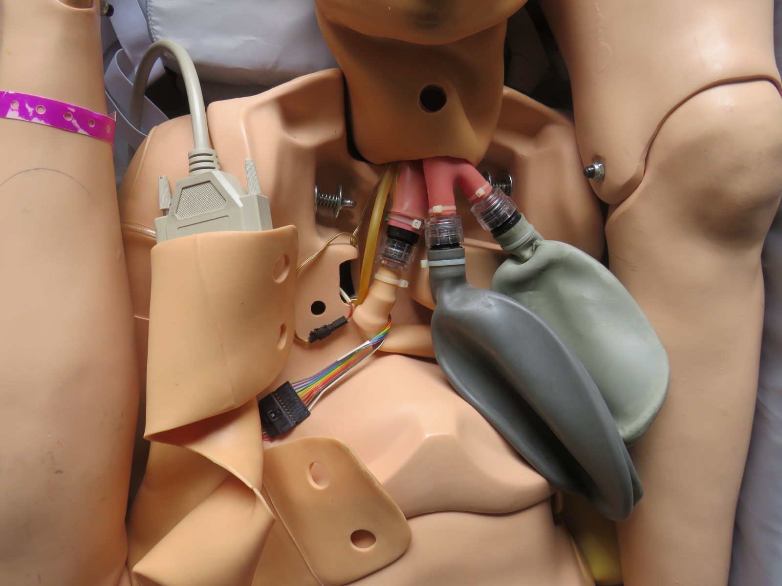 LAERDAL NURSING ANNE FULL BODY MEDICAL TRAINING EMT SIMULATOR MANIKIN MANNEQUIN