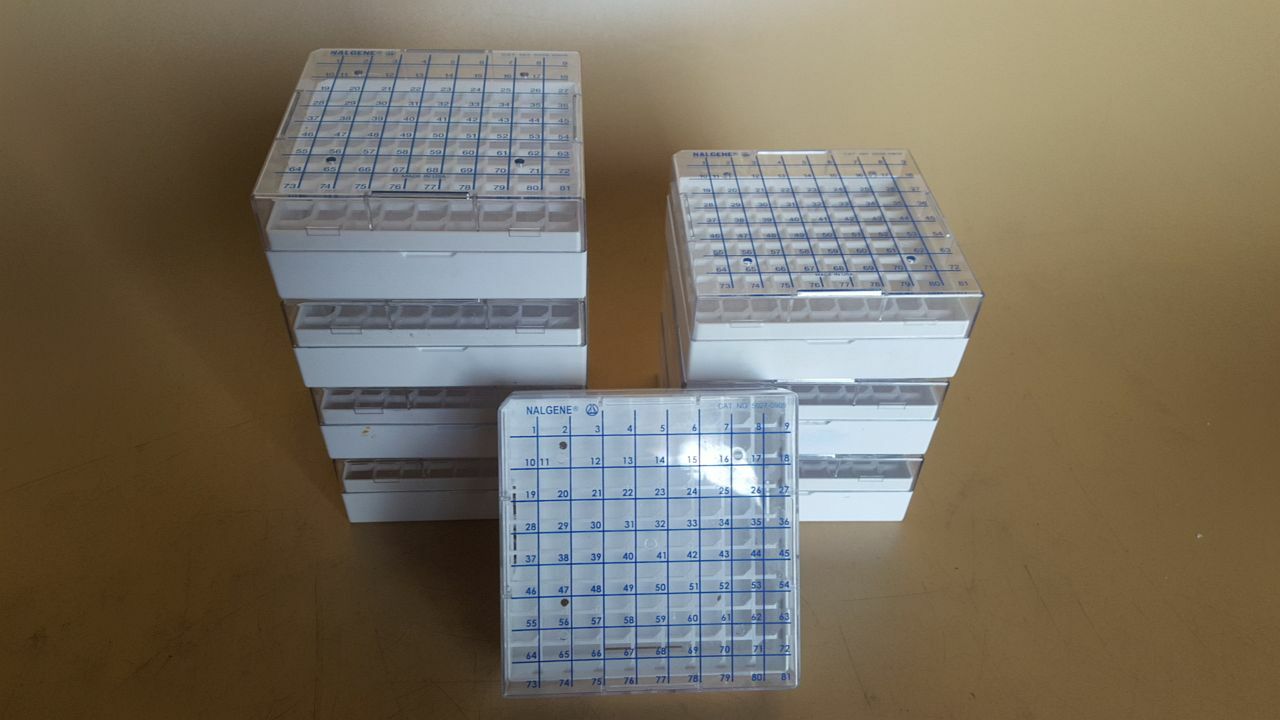 USED (8) Nalgene Cryogenic Containers, 5-1/4 x 5-1/4 x 2 inches, holds 81 tubes
