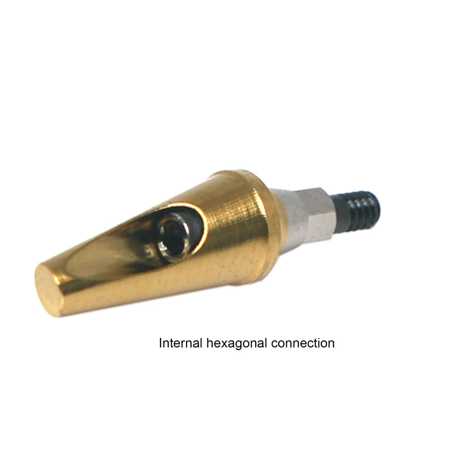 US Ti Dental Angled Abutment 17° Hex fits HIOSSEN DIO DFII Neo Biotech Implants