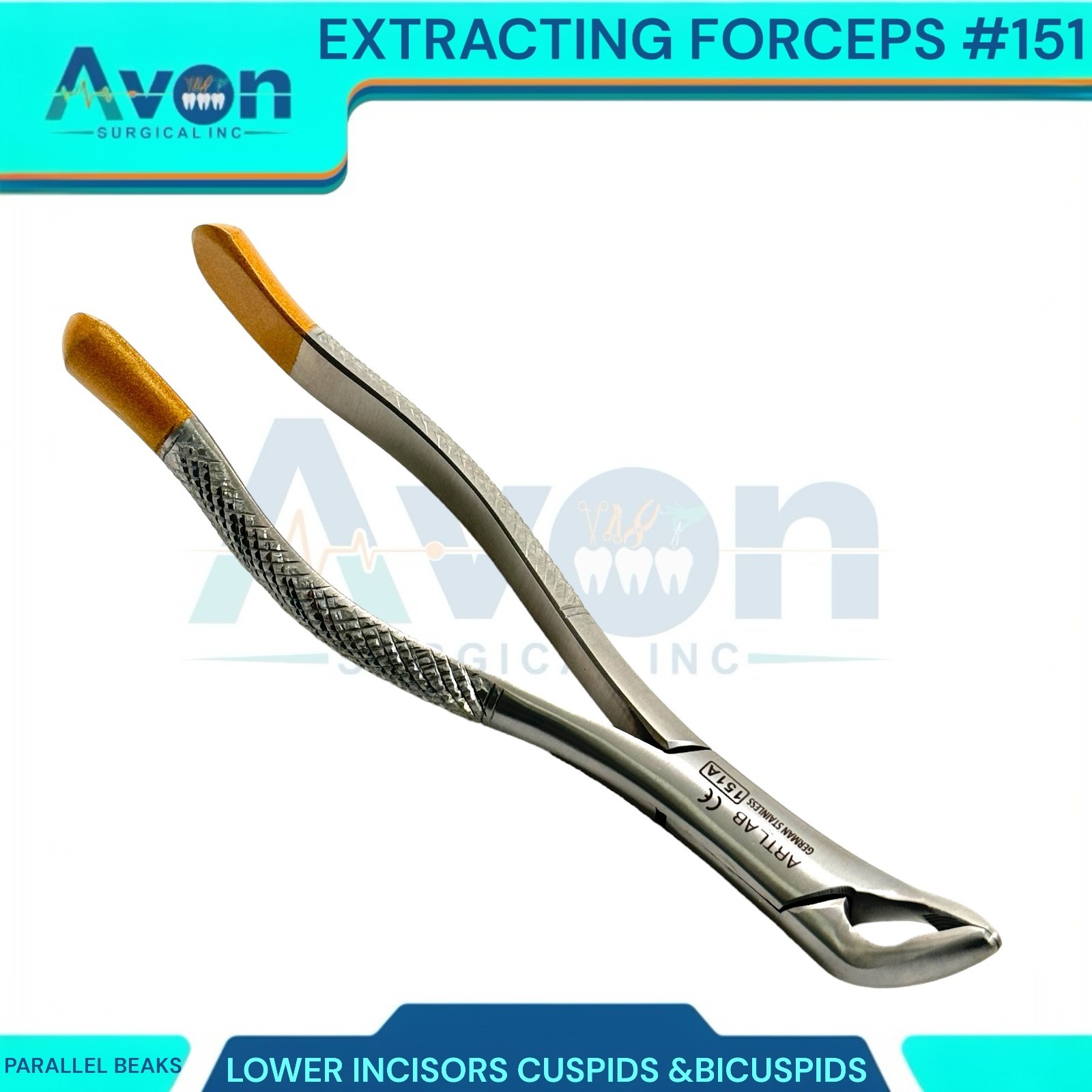 1PC – Dental Extraction Univeral Forceps #151A – Gold Tip Handle – Premium