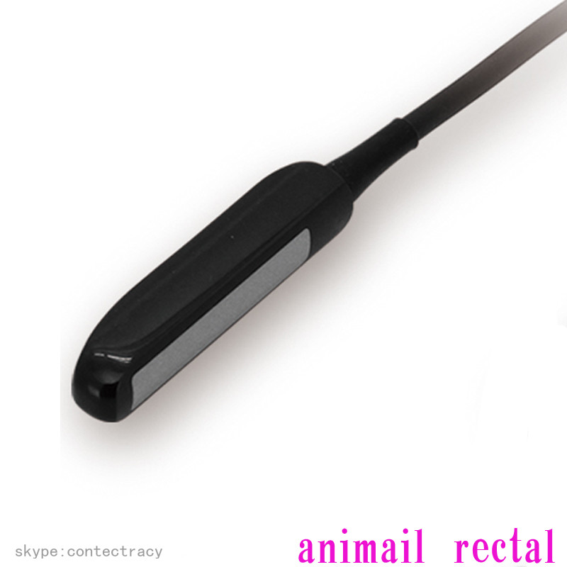CE Portable laptop machine Veterinary ultrasound scanner 6.5M Rectal probe