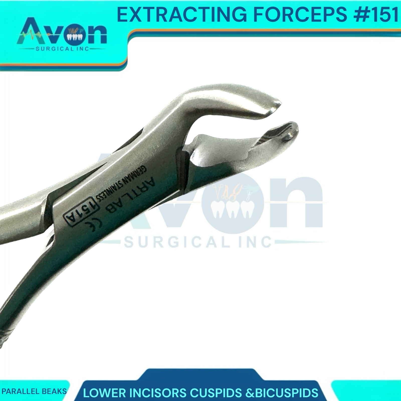 1PC – Dental Extraction Univeral Forceps #151A – Gold Tip Handle – Premium