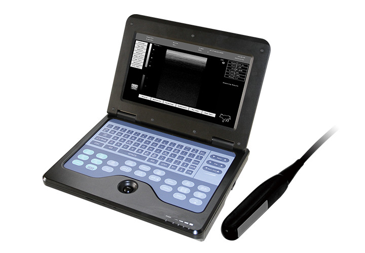 CE Portable laptop machine Veterinary ultrasound scanner 6.5M Rectal probe