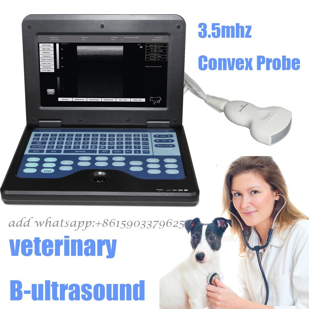 VET Digital Portable Laptop Ultrasound Scanner Machine,3.5MHz Convex probe