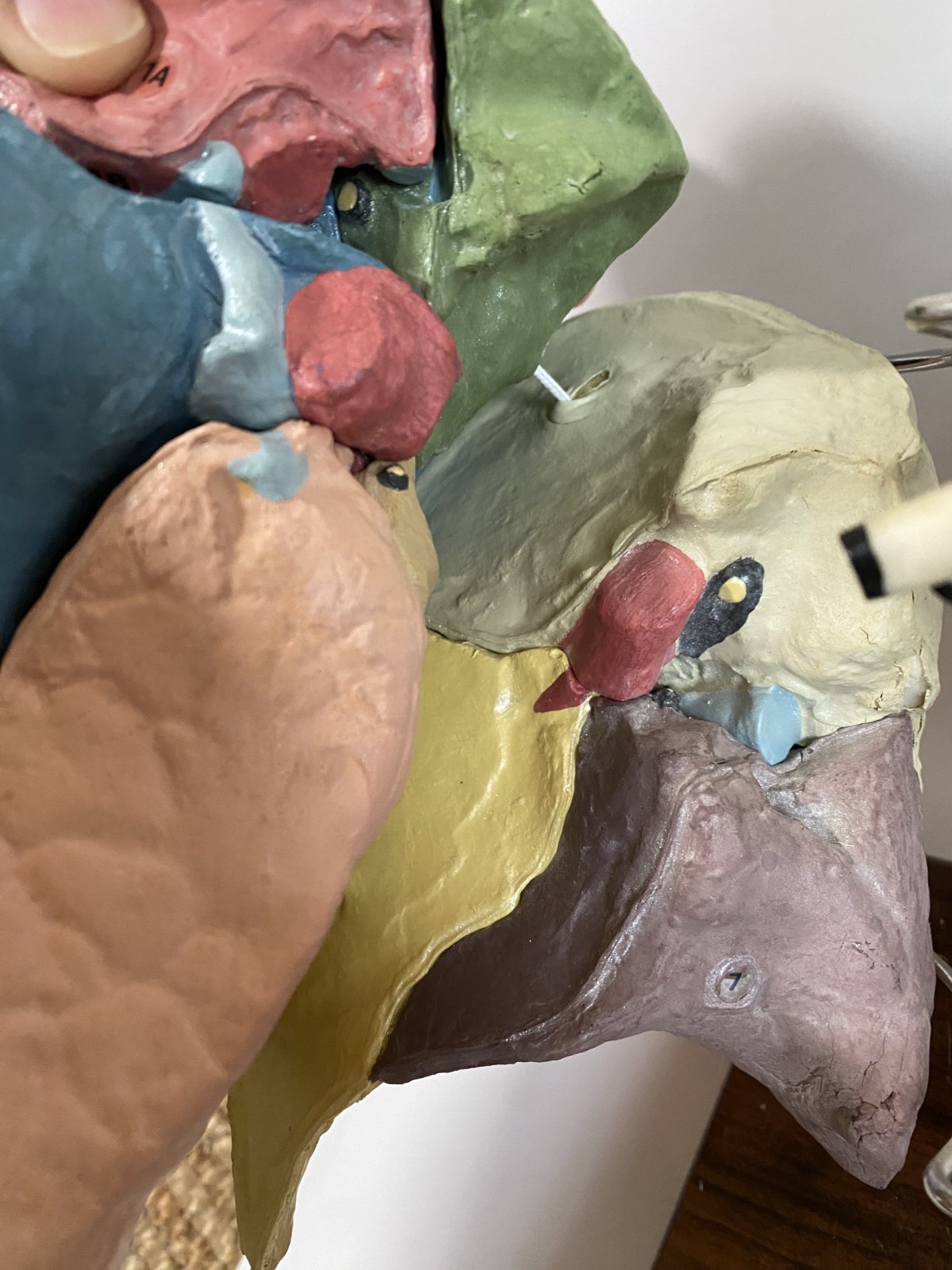 Medical Plastics Laboratory Lung Model on Stand – Anatomy Foam Sections Vintage