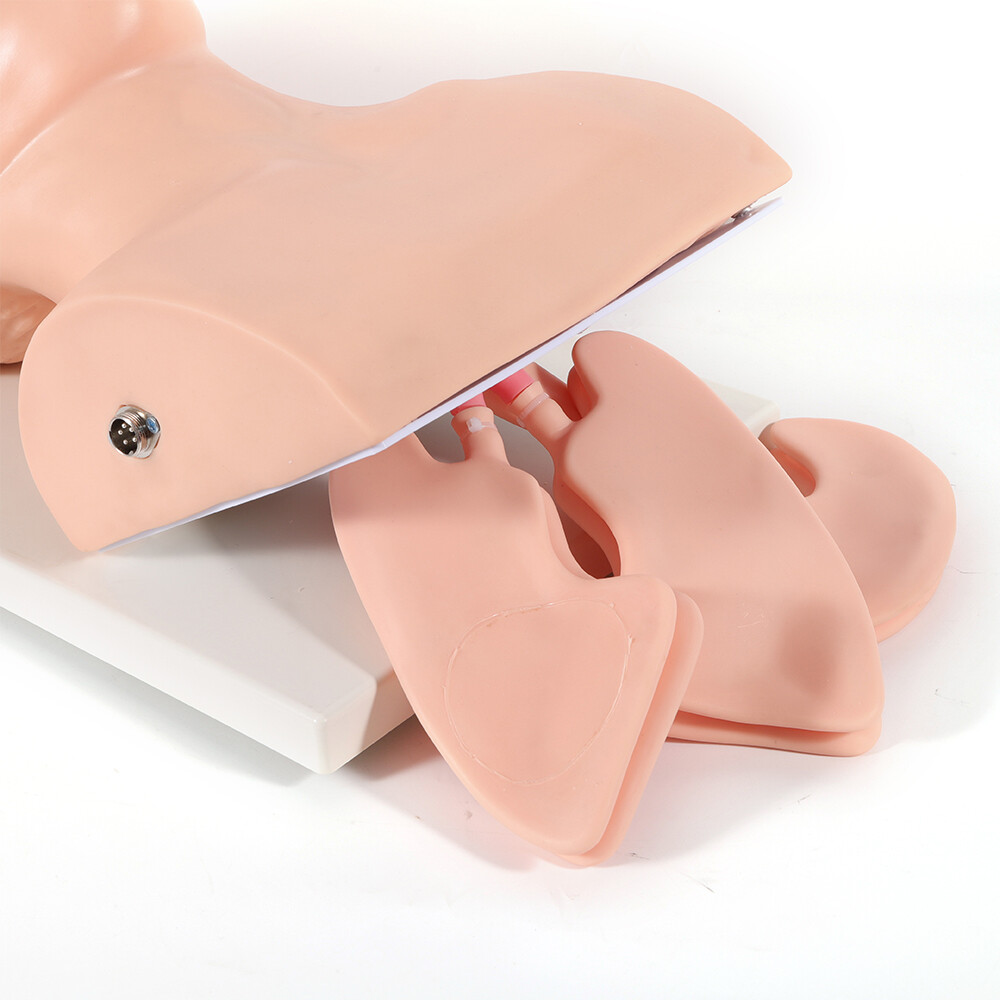 Airway Management Model Healthcare Training Airway Manikin Patient Simulator USA