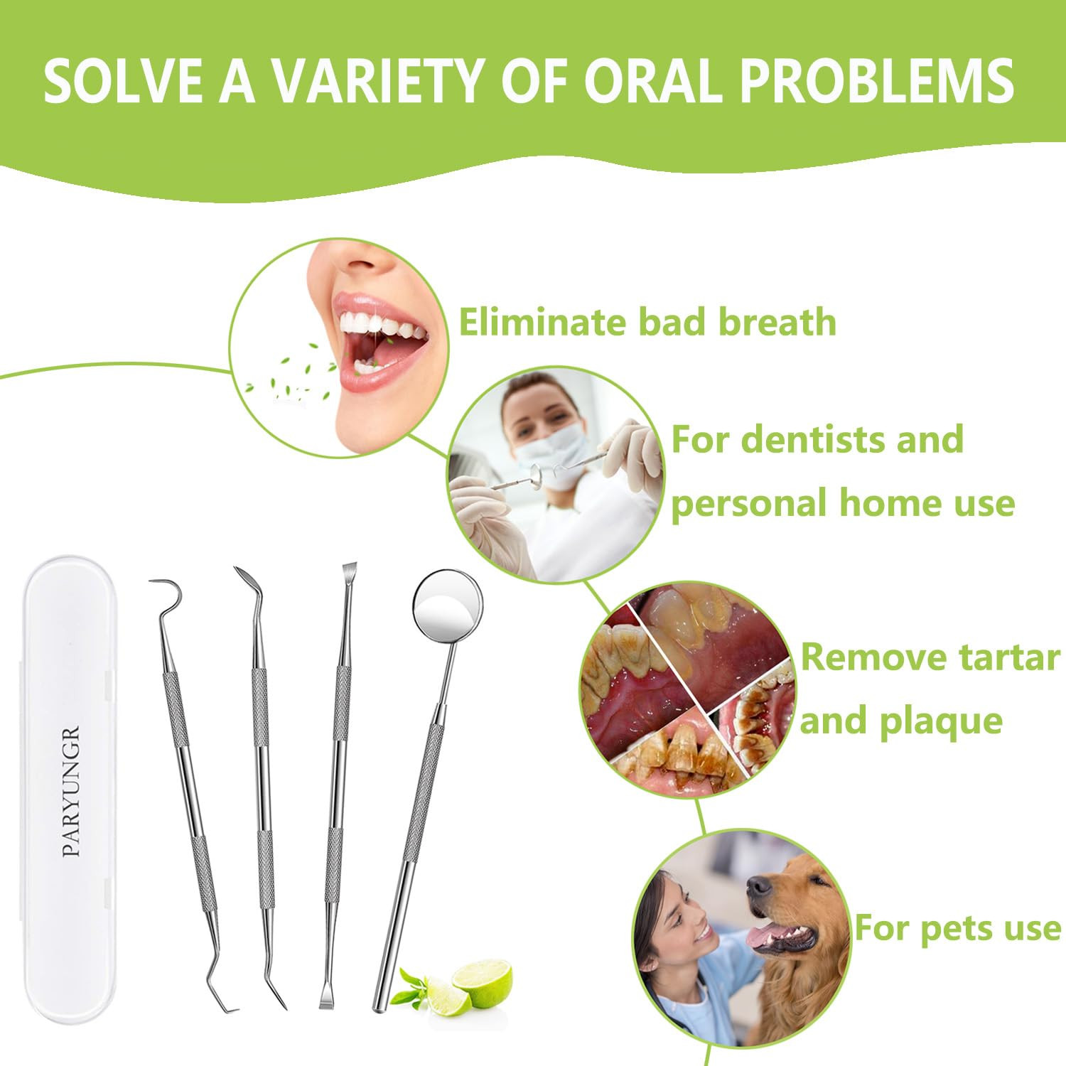 Dental Tools, Professional Teeth Cleaning Oral Care Hygiene Kit, Stainless Steel
