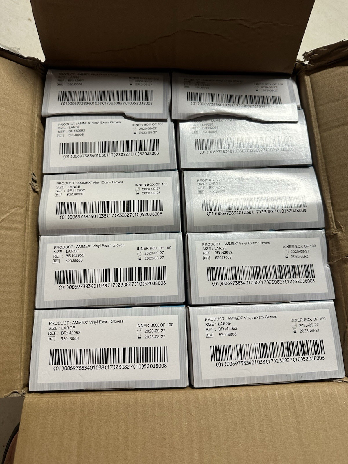 1000 (10 Boxes) AMMEX L Large Professional Vinyl Exam Gloves Protection Clinical