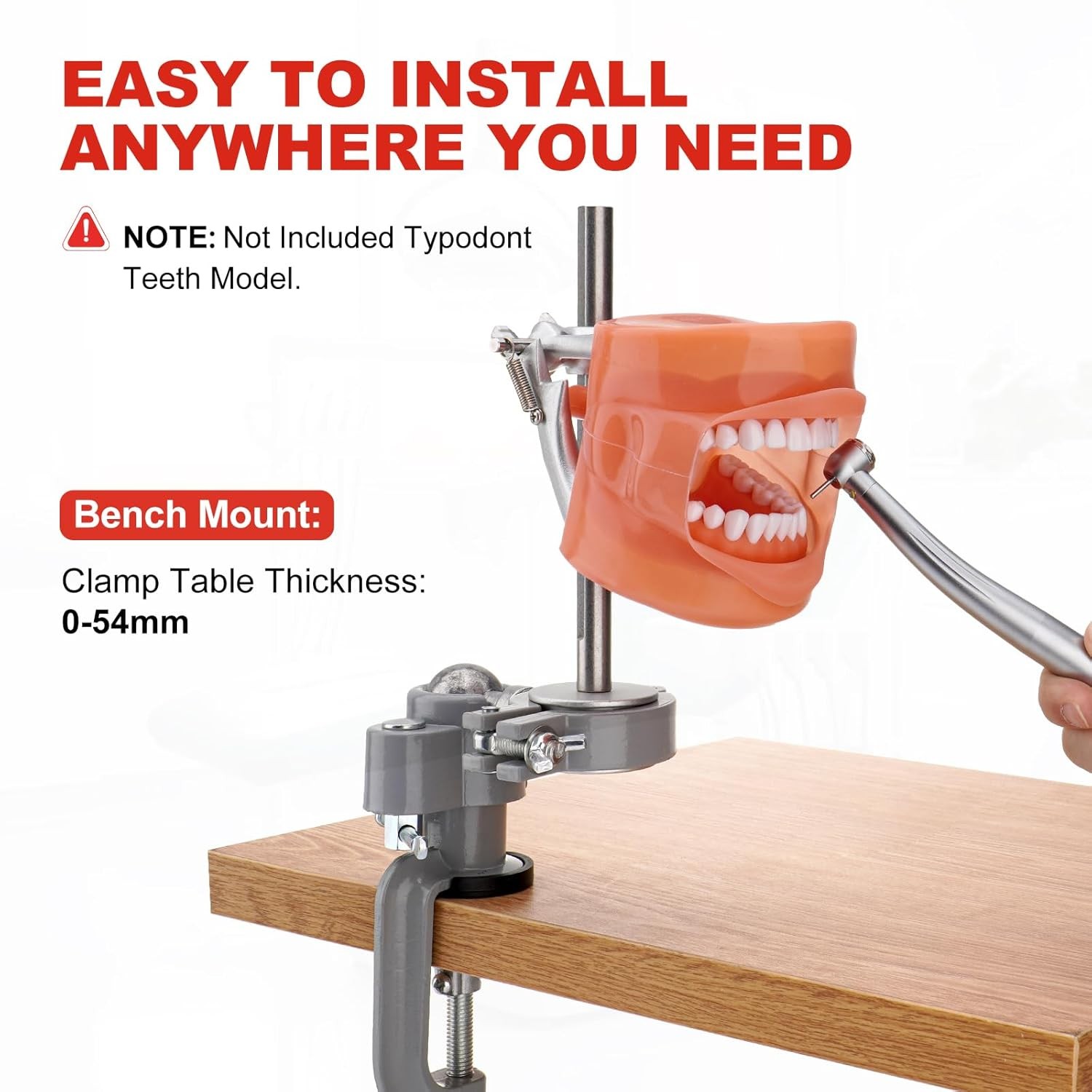 USA Dental Typodont Dentoform Mounting Pole Fits Kilgore Nissin Columbia Frasaco