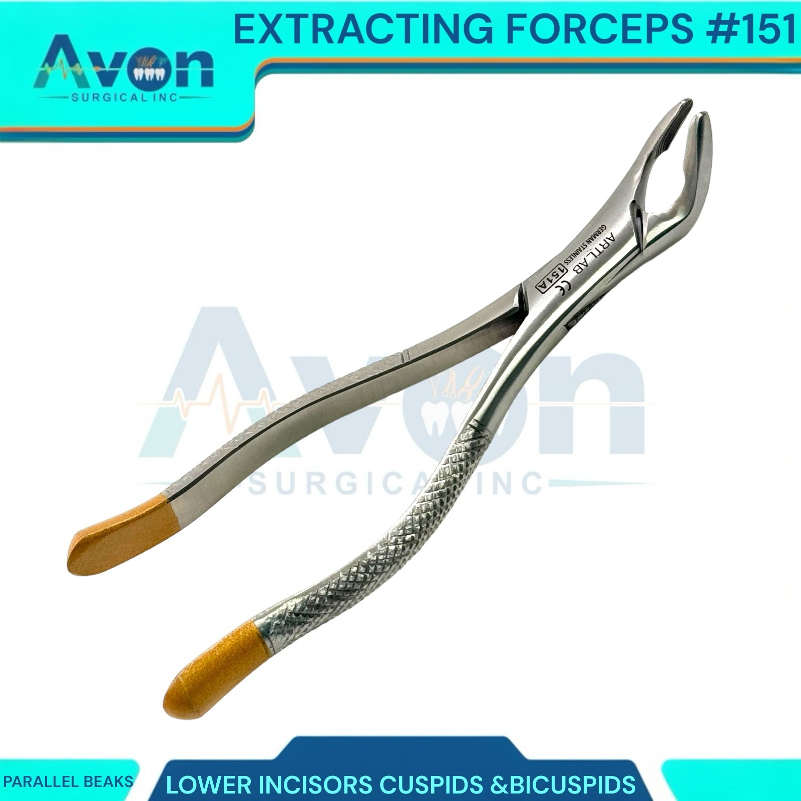 1PC – Dental Extraction Univeral Forceps #151A – Gold Tip Handle – Premium