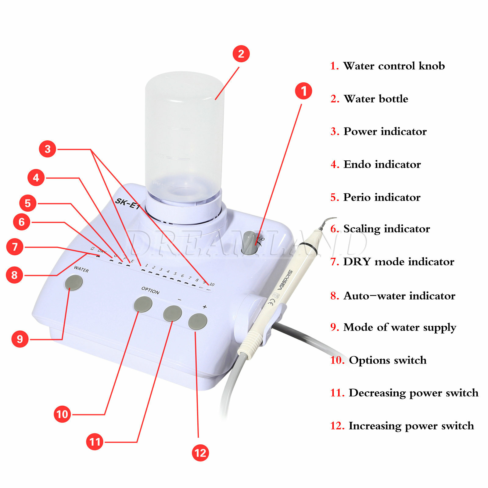 FDA SK-E1 Dental Ultrasonic Scaler 2*Bottles fit Woodpecker EMS / Handpiece icv
