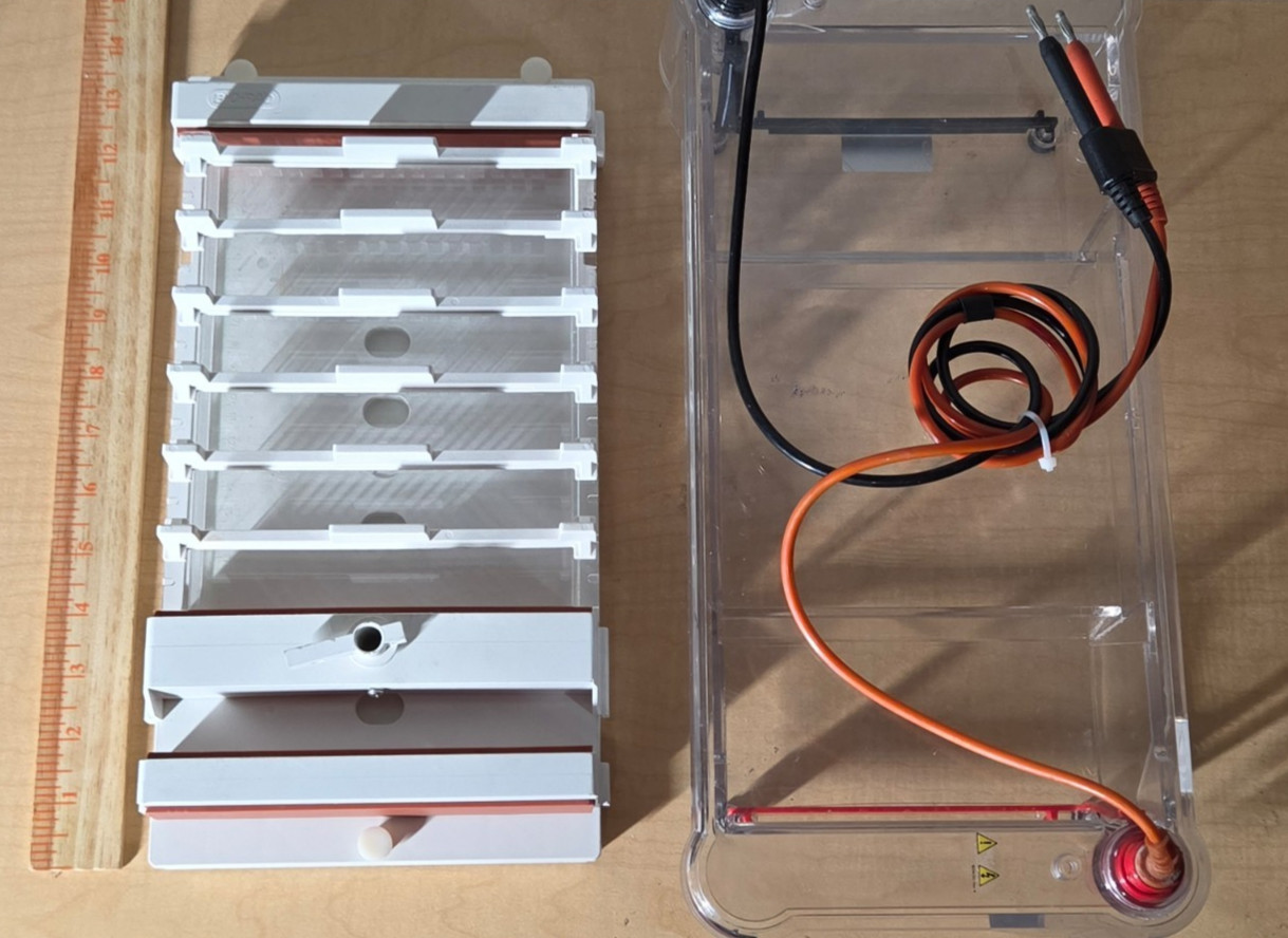 Bio-Rad Sub-Cell GT Basic Electrophoresis System with Tank Tray Combs Gel Caster