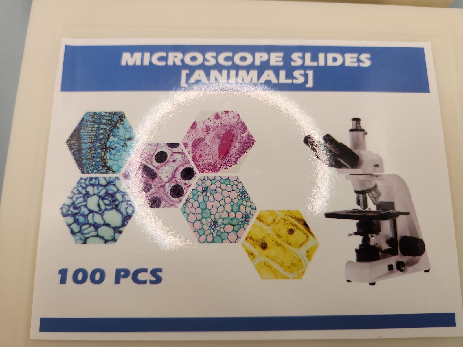 Prolee 200 Packs Microscope Slides for Biological Science Education