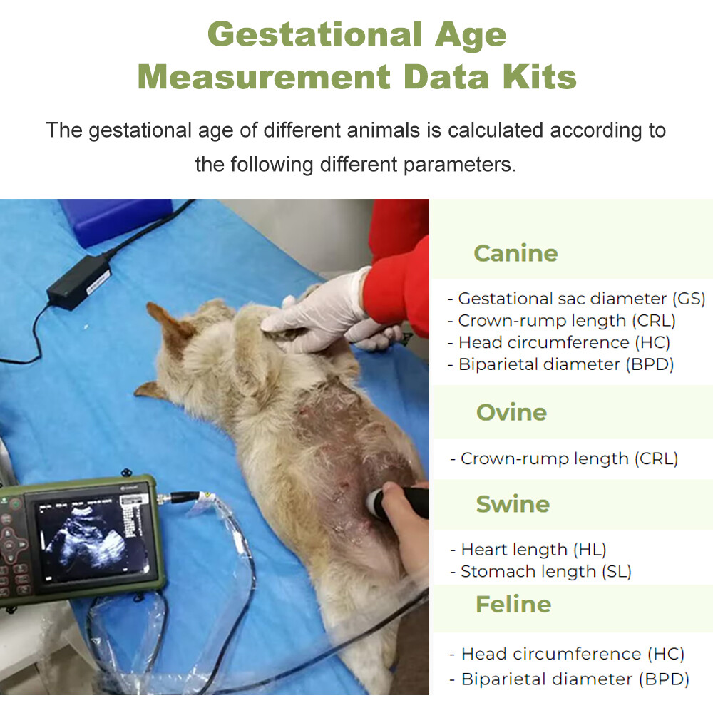 Veterinary Ultrasound Machine – Pregnancy Detection In Dogs, Pigs, Goats, Sheep