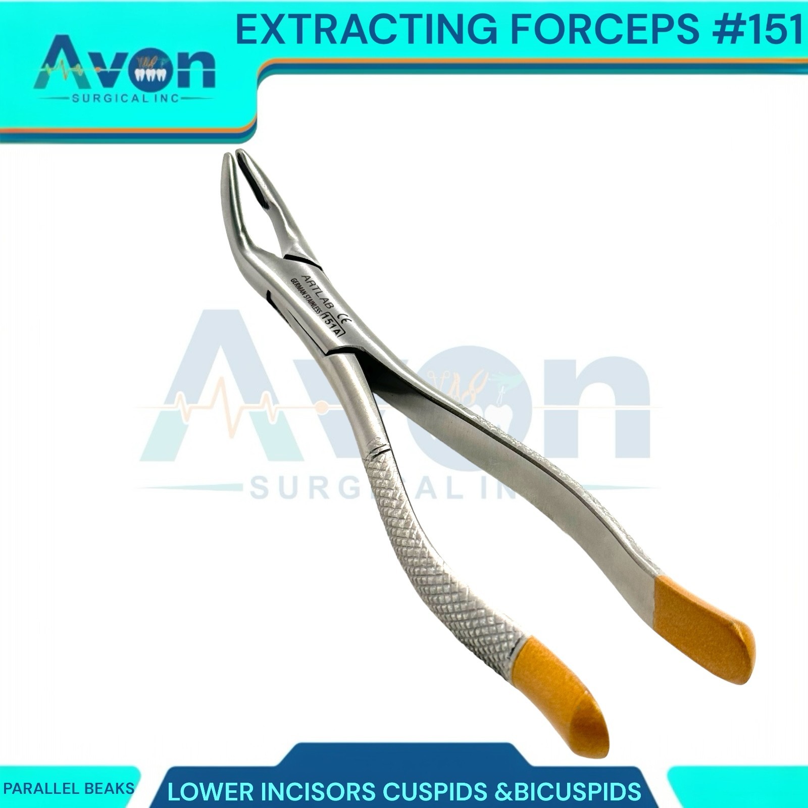 1PC – Dental Extraction Univeral Forceps #151A – Gold Tip Handle – Premium